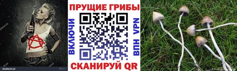 купить наркоту  маркетплейс формула  Галлюциногенные грибы Cubensis  Большой Камень 
